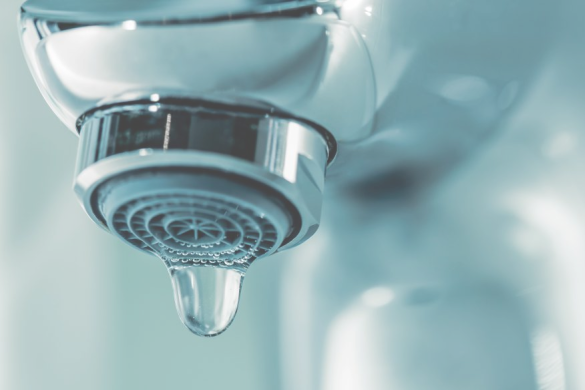 サービス・料金